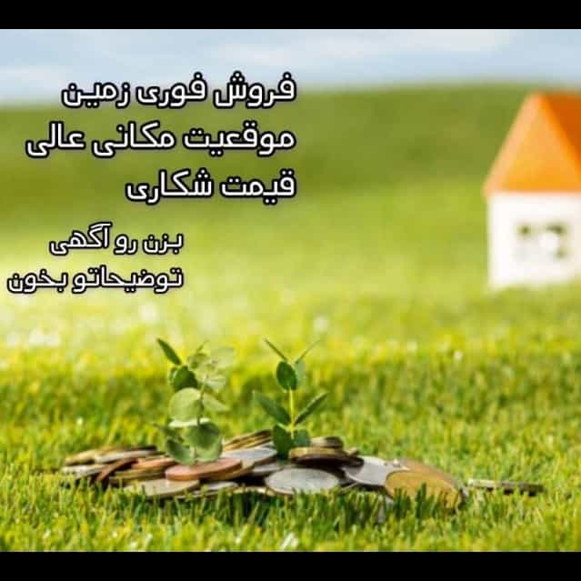 1692608035211.webp