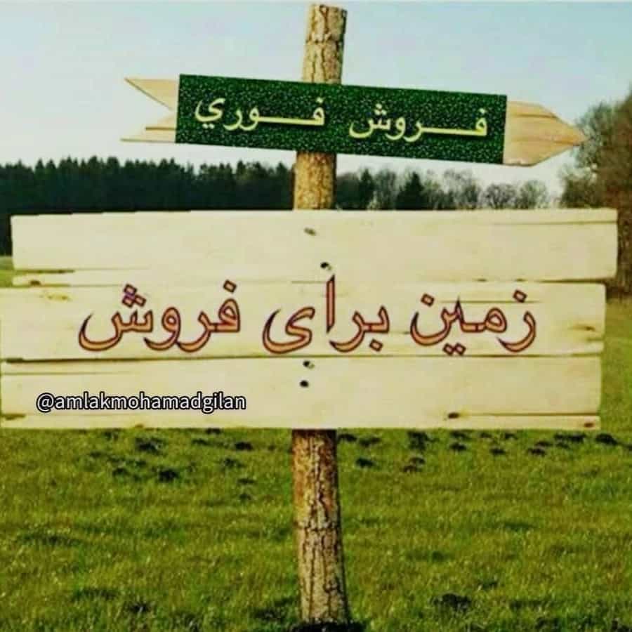 1692608321188.webp