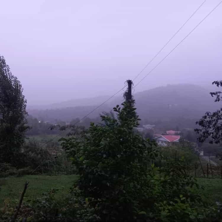1694928997804.webp
