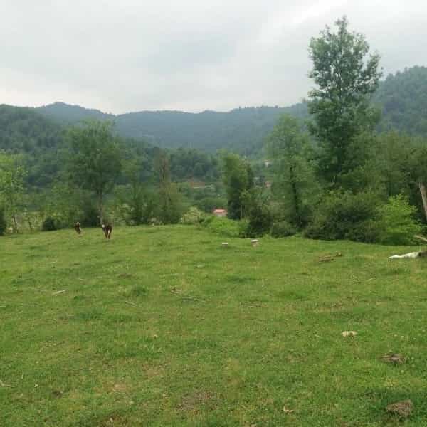 1698644668118.webp