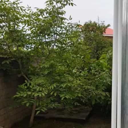 1692430695425.webp
